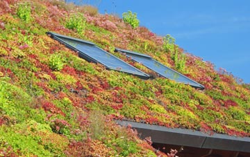 Caudle Green living roof systems